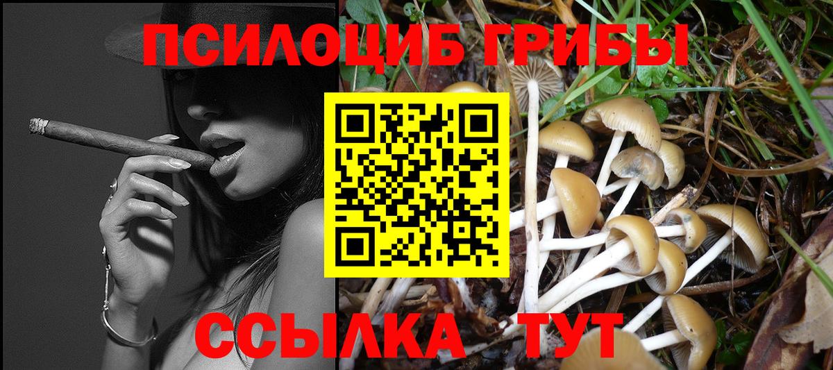 Сергиев Посад  Галлюциногенные грибы ЛСД  Псилоцибиновые грибы MAGIC MUSHROOMS  Вход с VPN 